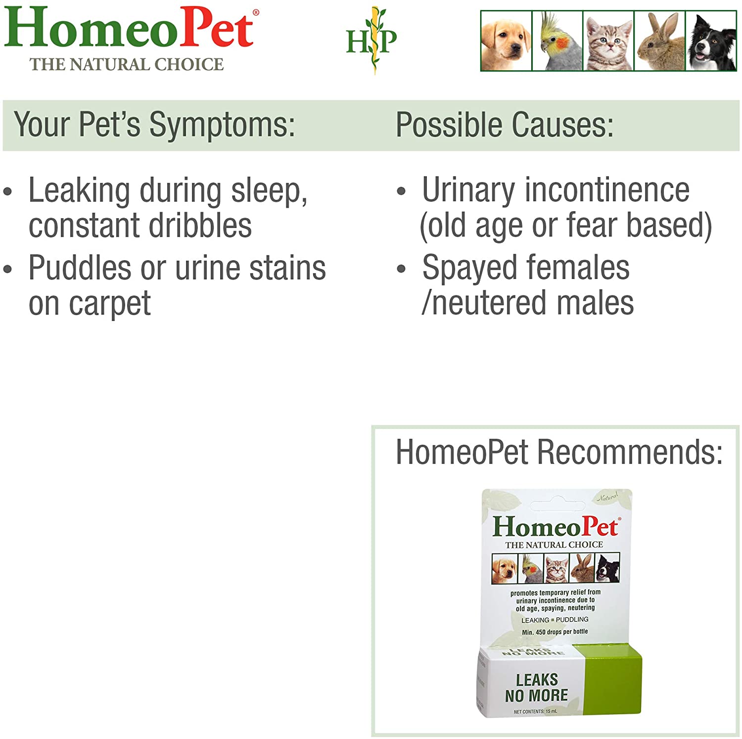 HomeoPet Leaks No More, Urinary Incontinence Relief for Pets Safe and Natural Incontinence Medicine, 15 Milliliters - Image 3