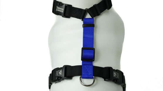 Blue-9 Balance Harness Buckle Neck, Medium, Blue - Image 4