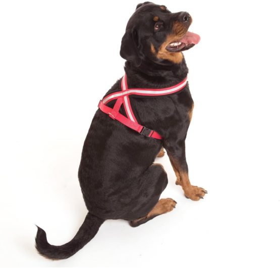 COA Comfy Harness, Toy - Image 3