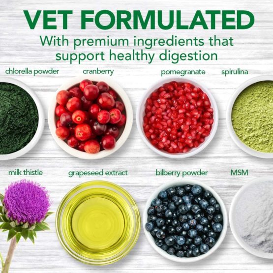 Vet's Best Multi-system support Cat Supplement Gel Promotes Healthy Immune System, 100g - Image 3