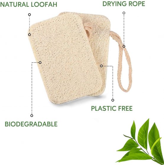 eplanita Natural Dishwashing Sponges (Pack of 6), Kitchen Eco Scrub Scourer, Natural Loofah Plant, Biodegradable and Zero Waste - Image 3