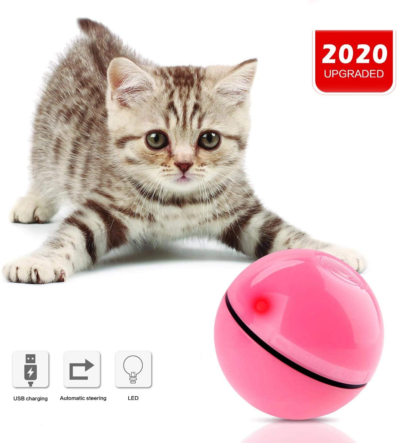 cat balls with bells inside