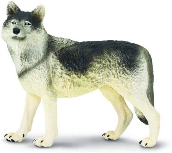 Gray Wolf