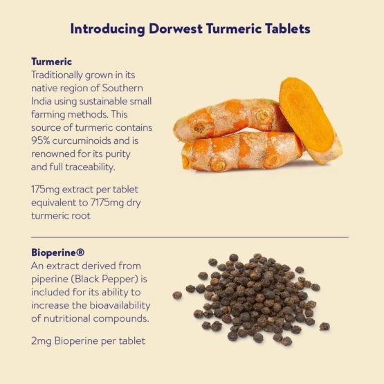 DORWEST HERBS Turmeric Tablets for dogs and cats, 100 tablets, Yellow - Image 3