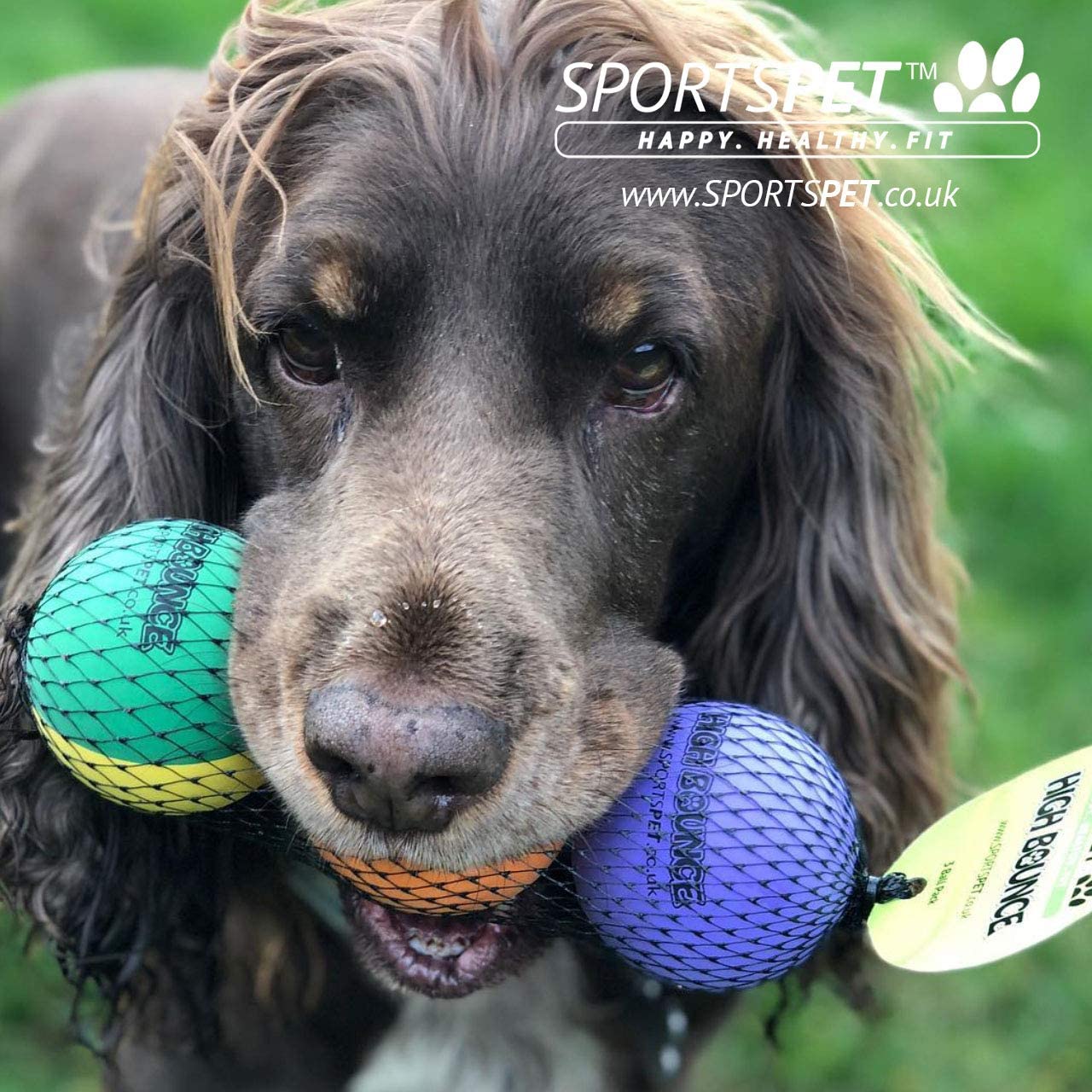 SPORTSPET High Bounce Natural Rubber Dog Balls (3 Pack High Bounce) (60mm), Blue, Green, Black, 3 Piece Set - Image 2