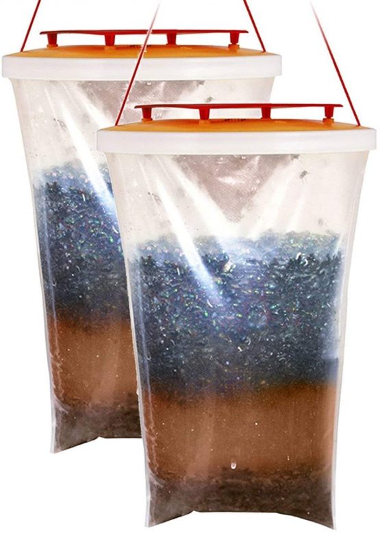 Red Top Fly Trap x 2