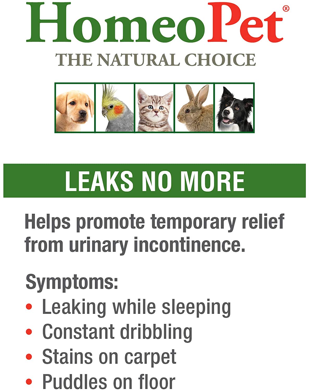 HomeoPet Leaks No More, Urinary Incontinence Relief for Pets Safe and Natural Incontinence Medicine, 15 Milliliters - Image 2