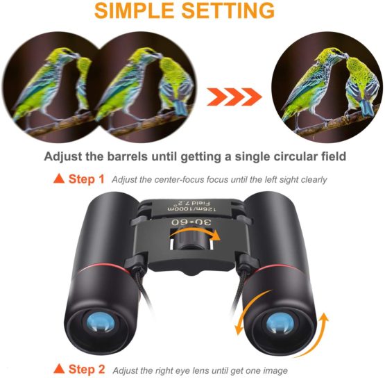 ANDSTON 30 x 60 Small Binoculars Compact for Adults Kids, Mini Binocular for Bird Watching Traveling Sightseeing, Lightweight Pocket Folding Binoculars for Concert Theater Opera - Image 4