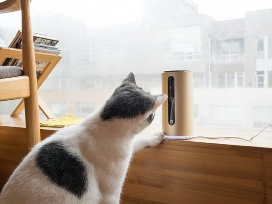 PETKIT Pet Remote Monitor Mate Pro, Rose Gold - Image 2