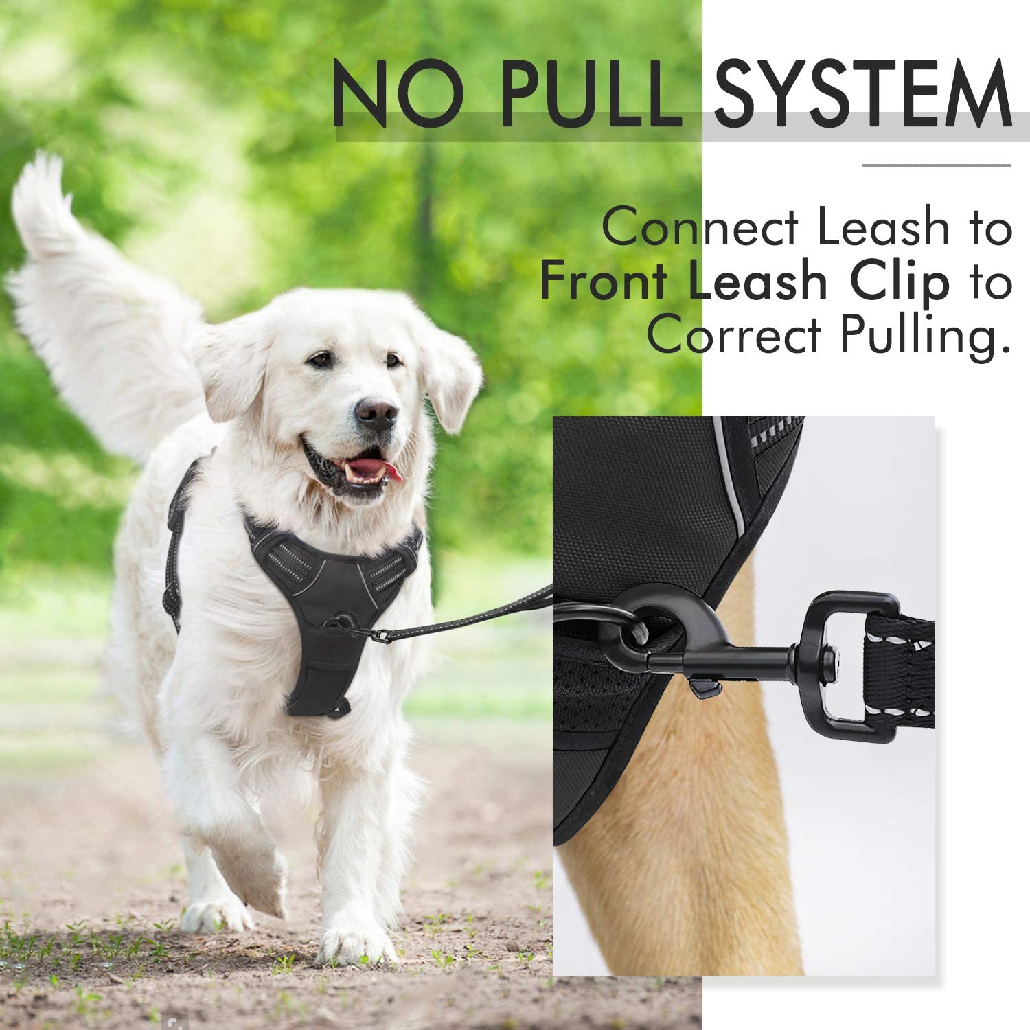 rabbitgoo Dog Harness Medium No Pull Pet Harness with 2 Leash Clips, Adjustable Soft Padded Pet Vest Harness - Image 4