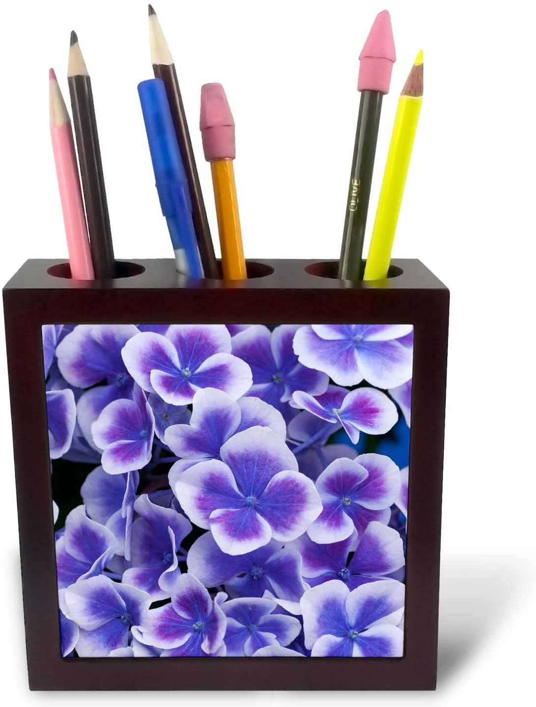 3dRose Close Up of Purple Hydrangea Blooms - Tile Pen Holder, 5-Inch (Ph_257987_1), 5 inch tile pen holder