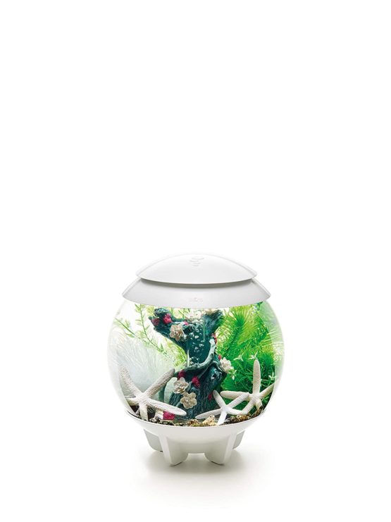 biOrb Decor Set 15L Flower Garden - Image 4