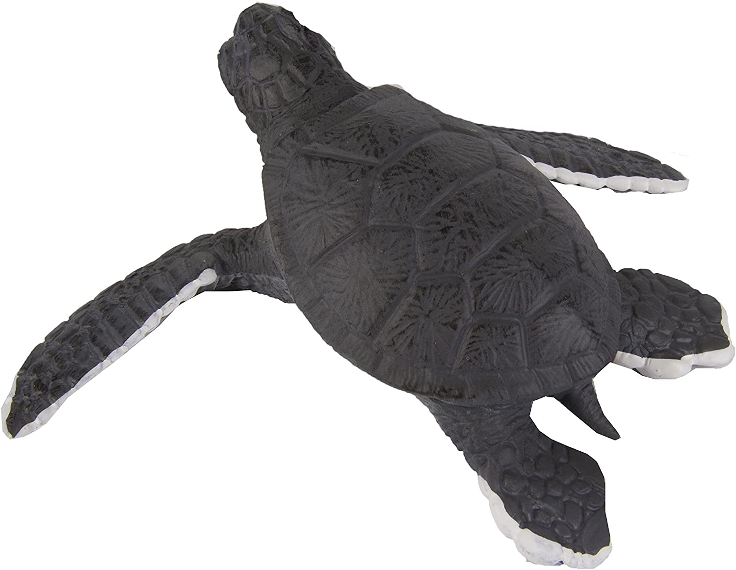 Safari 268129 Baby Sea Turtle Animal Figure, Multicolor, Small - Image 4
