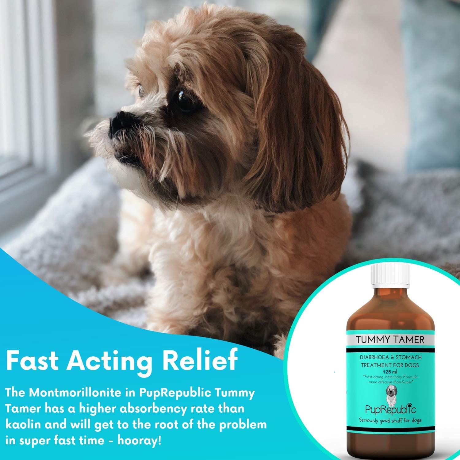 PupRepublic Fast Acting dog diarrhea treatment, Digestive Disorders, More Effective than Kaolin - Image 3