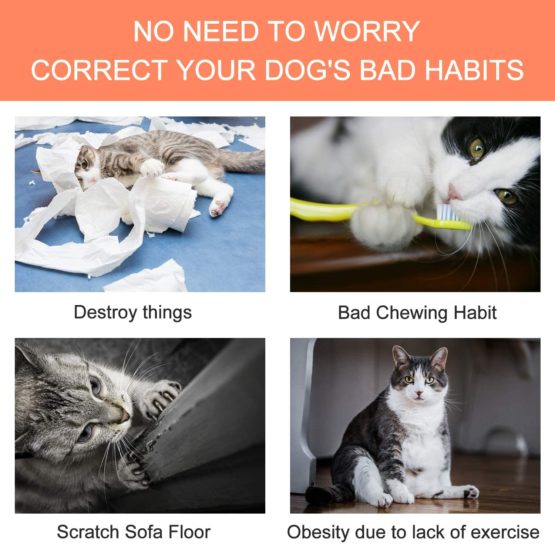 Bojafa Cat Catnip Toys 3 Pack Cat Plush Teeth Cleaning Toys for Indoor Cats Kittens- Creative Scratch Chewing Teeth Grinding Pet Catnip Pillow - Image 4