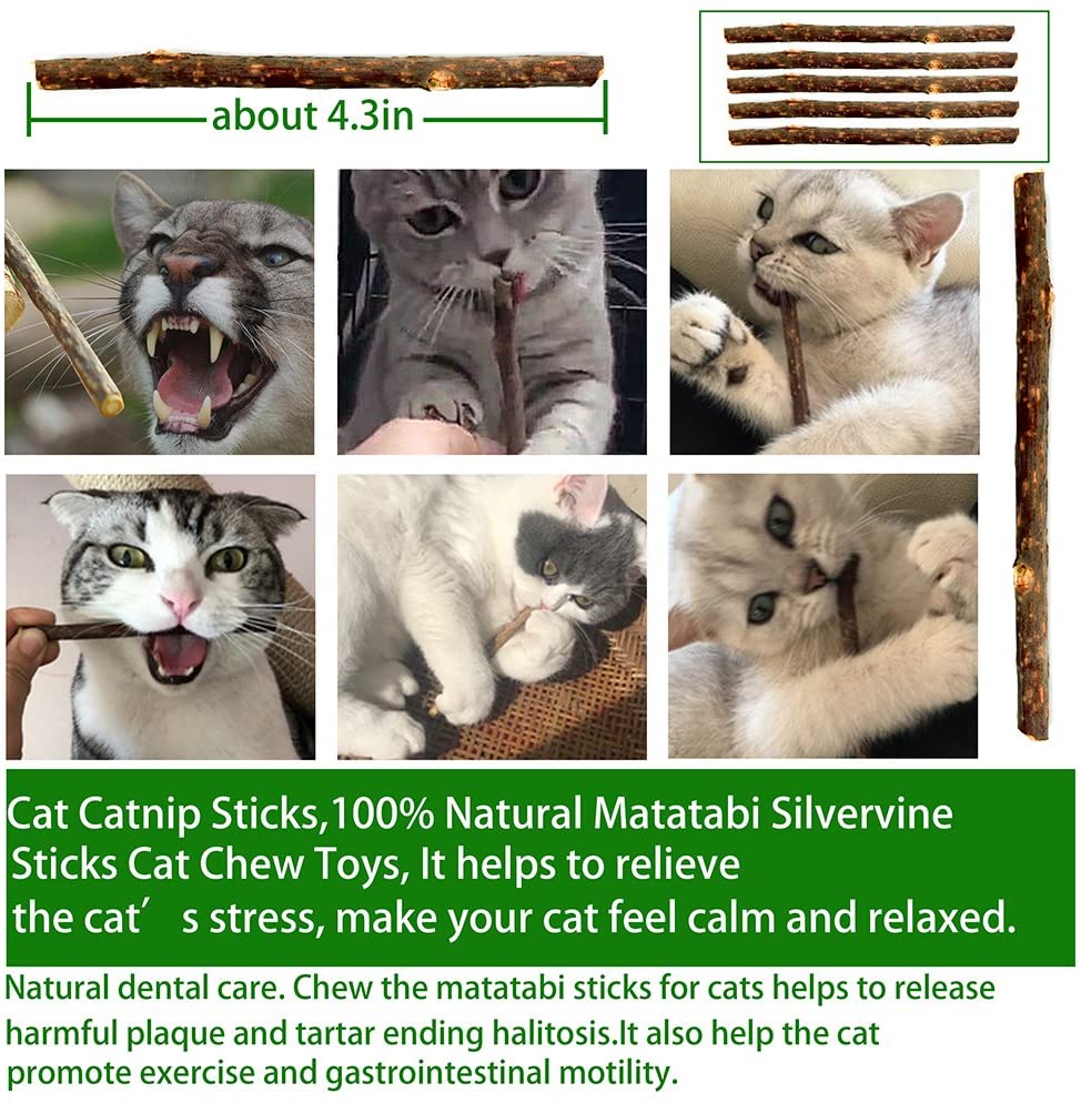 GaiusiKaisa Cat Toys, 23Pcs Interactive Toys for Indoor Cat & Kitten with Feather Wand, Catnip Fish, Matatabi Sticks - Image 4