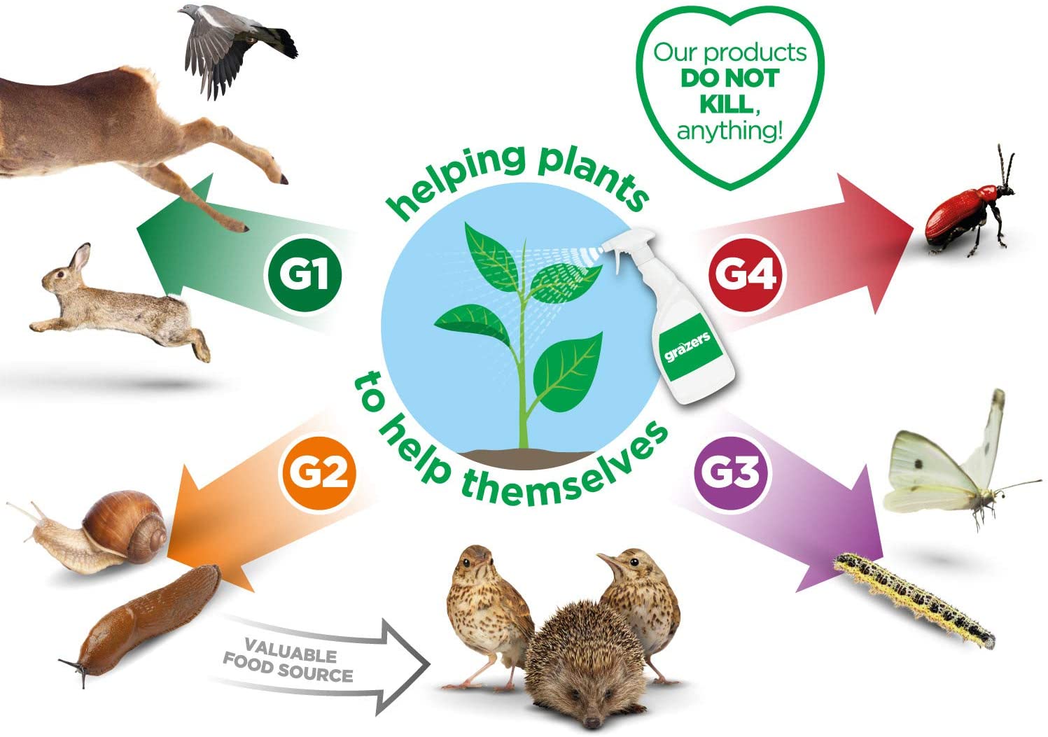 Grazers G1 Concentrate 750ml Effective against Damage from RABBITS, Pigeon, Deer Etc (Treats Up To 2000m2) - Image 4