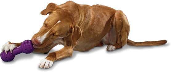 Busy Buddy Chuckle, Interactive Treat Dispensing Dog Toy, Chew Toy with Engaging Noise - Image 4
