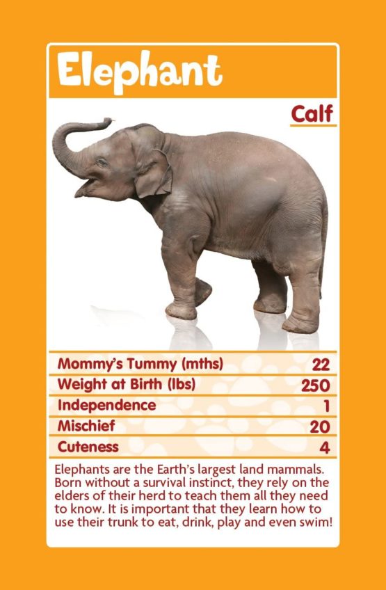Baby Animals Top Trumps Card Game - Image 4