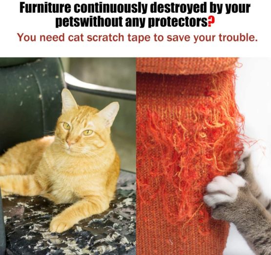 Petslucent Cat Scratch Deterrent Sticky Paws Tape, Cat Furniture Protector Training Tape Anti Scratching, Double Sided Guards for Carpet, Sofa, Couch, Door (Blue- 3''x 15 Yards) - Image 3