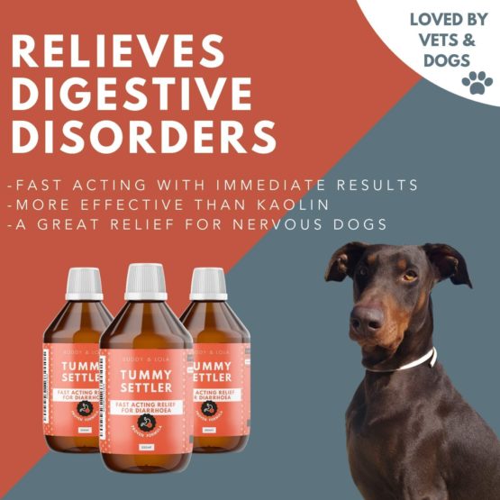 Buddy & Lola Dog Mess Rescue - 50 Servings - Fast-Acting Accident Suspension for All Breeds, Sizes and Ages - Syringe Included - Image 2