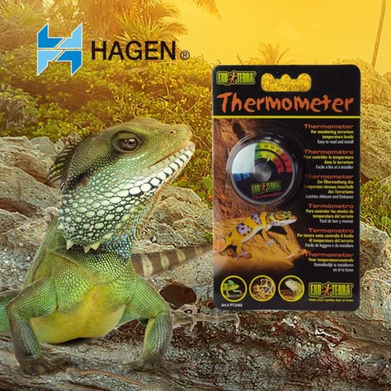 Exo Terra Dial Thermometer - Image 4
