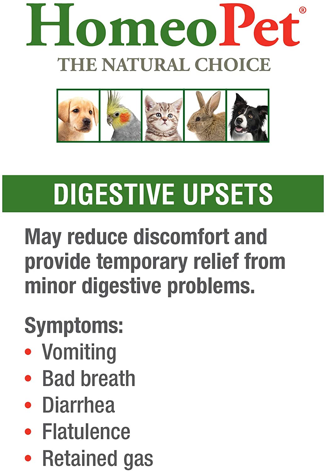 HomeoPet Digestive Upsets Natural Pet Digestive Support, Supports Temporary Relief from Digestive Problems, 15 Milliliters - Image 2