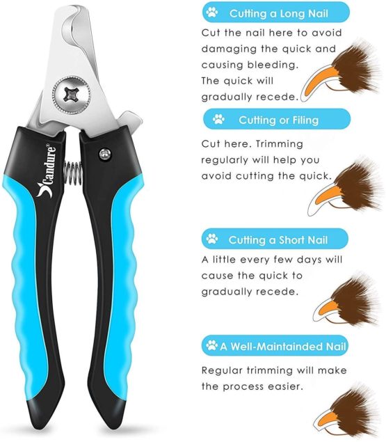 Candure Dog Nail Clippers for Large, Medium and Small Breed Professional Pet Nail Clipper Suitable for Cats, Rabbits and Guinea Pigs With Safety Lock and Protective Guard to Avoid Over Cutting (6") - Image 3