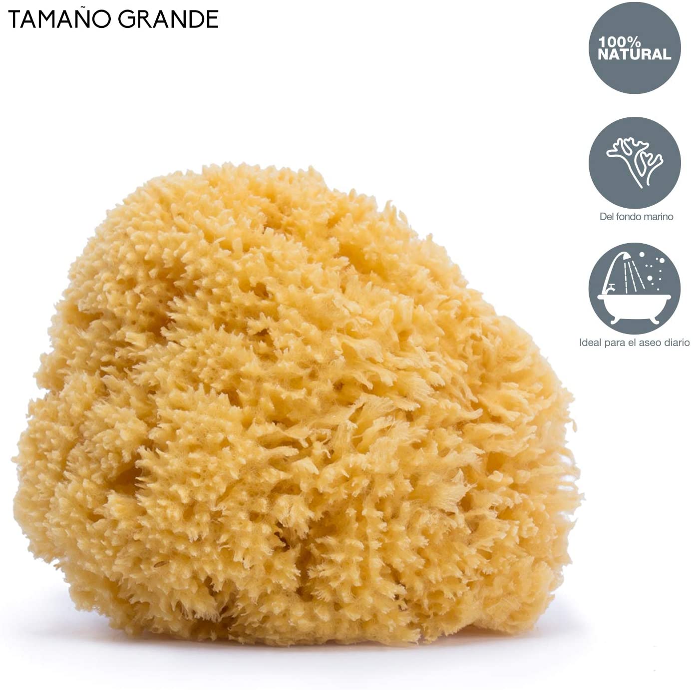 Suavinex 3302927 Natural Sponge Large, Orange - Image 2