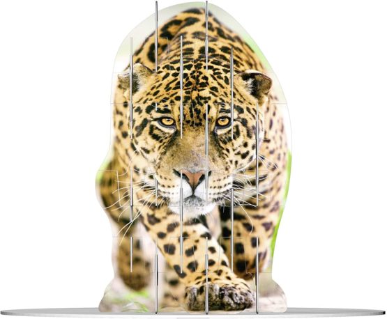 Ravensburger 4S Vision Wild Cats Slot Fit 3D Puzzle - Image 2
