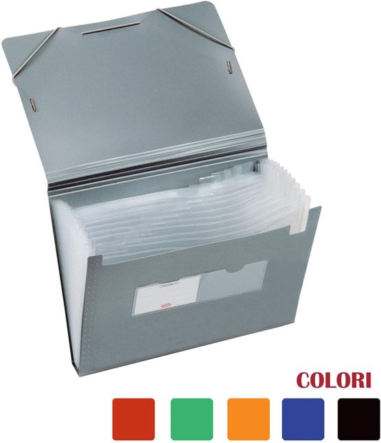 Document Holder 12 Compartments A4 Blue