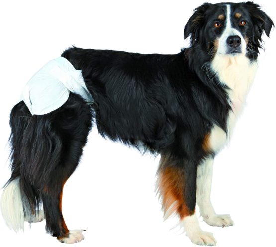 Diapers (nappies) for dogs, L, 12 pcs - Image 3