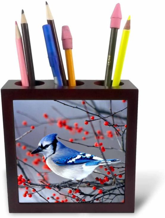 3dRose Blue Jay in Winterberry Bush in Winter, Marion County, Illinois - Tile Pen Holder, 5-Inch (Ph_259293_1) - Image 3
