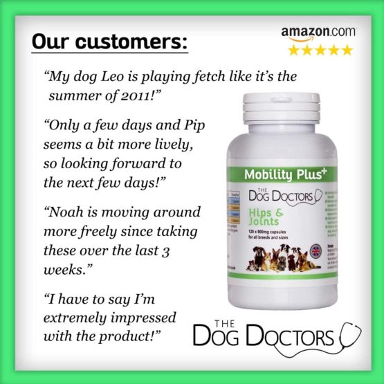 The Dog Doctors Mobility Plus Hips And Joints Aid Supplements With Glucosamine And Chondroitin For Dogs That Are Suitable For All Breeds And Sizes - 120 Capsules - Cruelty Free & Proudly Made in UK! - Image 4