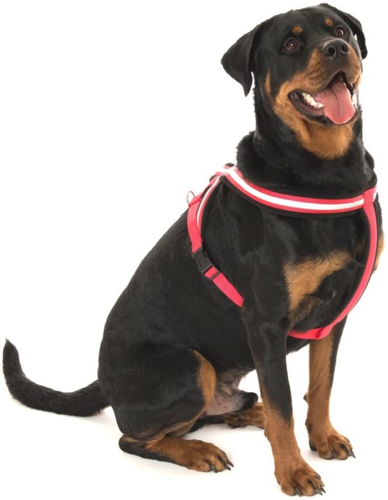 COA Comfy Harness, Toy - Image 2