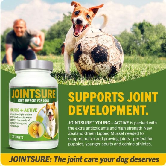 JOINTSURE Joint Support Supplements for Dogs - 300 Pack, Aids Stiff Joints, Supports Joint Structure & Maintains Mobility in Young/Active Dogs | Triple Formula with Green Lipped Mussel & Glucosamine - Image 4