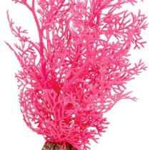 biOrb Horn Coral S Pink