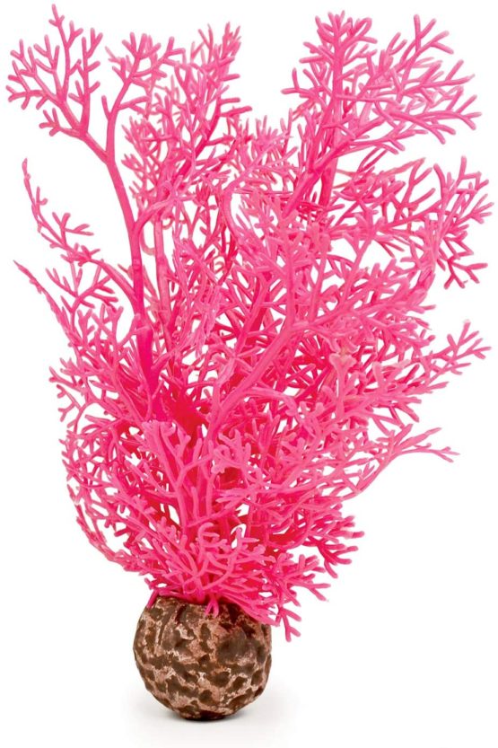 biOrb Horn Coral S Pink