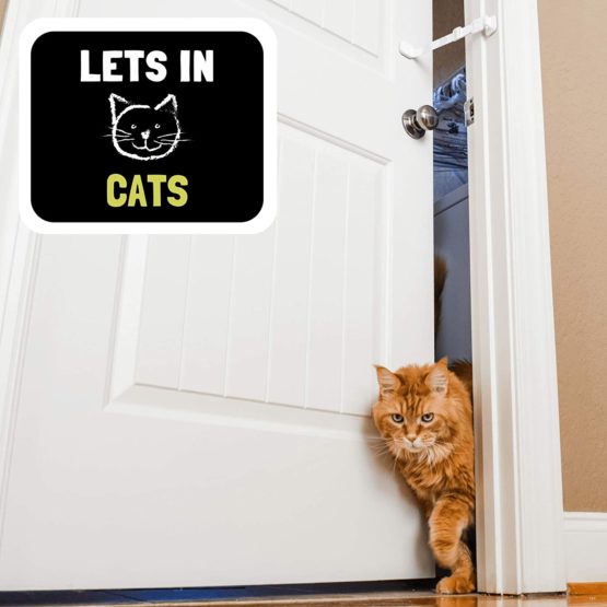 Door Buddy Adjustable Door Strap & Latch. Easy Way To Dog Proof Litter Box No More Pet Gates Or Cat Doors. Convenient Cat & Adult Entry. No Tools Installation. Stop Dog Eating Cat Poop Today! (Grey) - Image 3