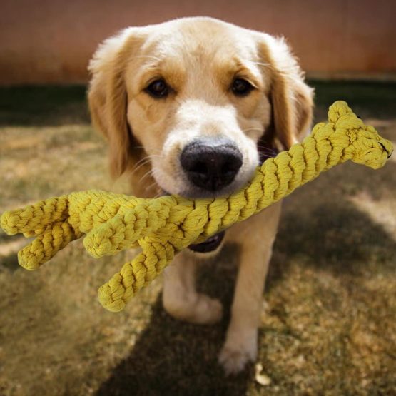 Dog Pet Puppy Chew Toys for Teething Boredom Dogs Rope Ball Knot Training Teeth Dogs Treats Toys for Small Middle Dog (Giraffe) - Image 3