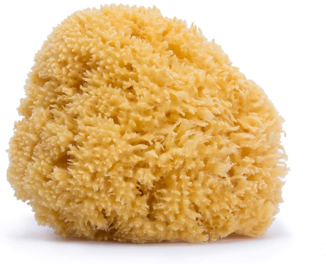 Suavinex 3302927 Natural Sponge Large, Orange