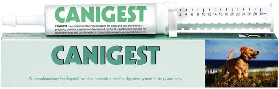 CANIGEST Probiotic Paste For Pets - 30ml - Easy To Administer Cat & Dog Tummy Settler Made With Probiotics, prebiotic, Glutamine, Kaolin & Pectin To Aid In Nutritional Management Of Digestive Upsets.