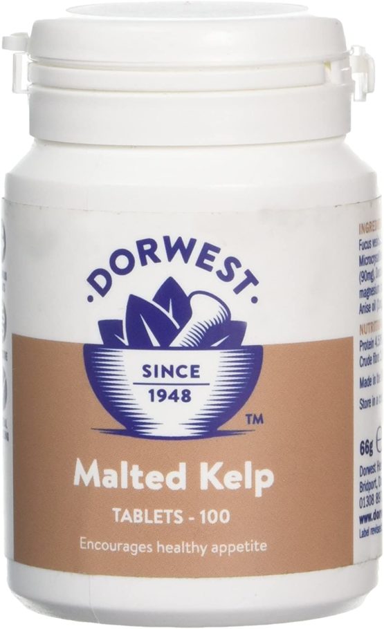 DORWEST HERBS Malted Kelp Tablets for Dogs and Cats 100 Tablets