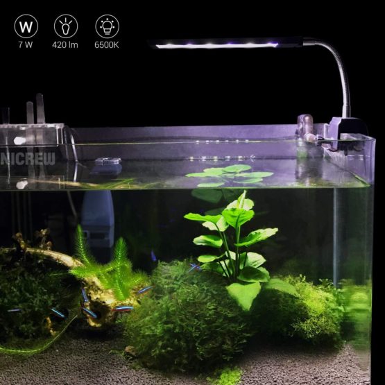 NICREW Fish Tank Clip on Light, Clamp Aquarium Light with White and Blue LEDs, 420LM, 7W - Image 3