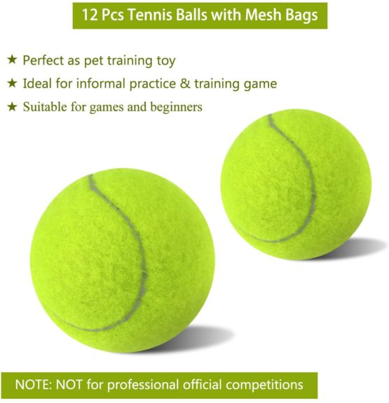 Philonext 12 Pack Tennis Balls with Mesh Carrying Bag,Tennis Balls for