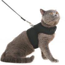 BINGPET Escape Proof Cat Harness and Leash - Adjustable Soft Mesh Holster Style - Best for Kitten Walking