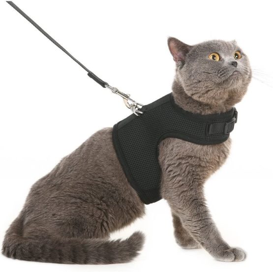 BINGPET Escape Proof Cat Harness and Leash - Adjustable ...