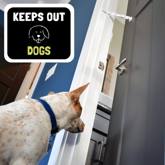Door Buddy Adjustable Door Strap & Latch. Easy Way To Dog Proof Litter Box No More Pet Gates Or Cat Doors. Convenient Cat & Adult Entry. No Tools Installation. Stop Dog Eating Cat Poop Today! (Grey) - Image 4