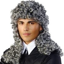 Folat - Grey Judge Wig - One Size