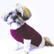 Buster & Beau , Luxury Charlton Cable Knit Dog Jumper, deep berry